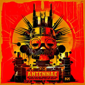 An Ever Evolving Journey That Dances with Drums and Odd Dreams