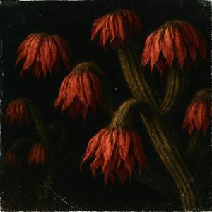 Not the Type (Explicit)