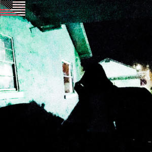 if i could (feat. brooks!) (Explicit)