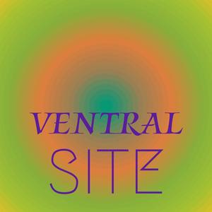 Ventral Site