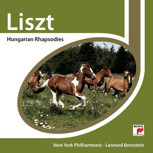 6 Hungarian Rhapsodies, S. 359 - No. 4 in D Minor