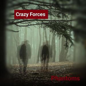 Phantoms