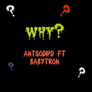 Why? (Explicit)