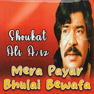 Mera Payar Bhulai Bewafa