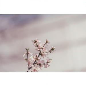 어느새 시간은 (Suddenly)