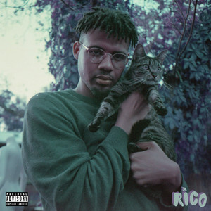 RICO (Explicit)