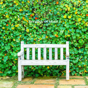 조용한 그곳 (A quiet place)