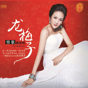 龙梅子专辑《情歌继续唱》封面图片
