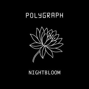 Polygraph - Collapse