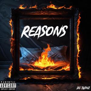 Reasons (Explicit)