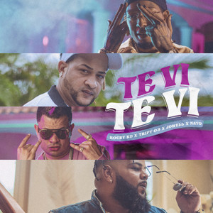 Te Vi Te Vi(feat. Nayo)