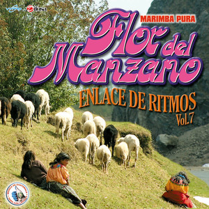 Enlaces de Ritmos Vol. 7. Música de Guatemala para los Latinos