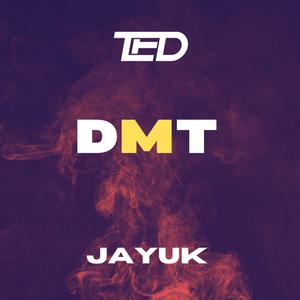 DMT (JayUK Remix)