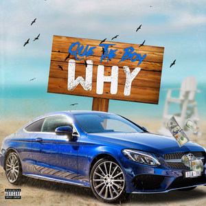 Why (Explicit)