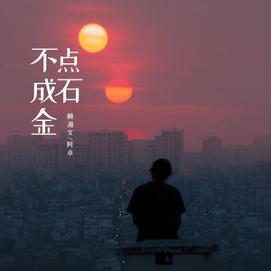 赖湘文 - 点石不成金