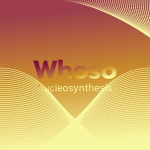 Whoso Nucleosynthesis