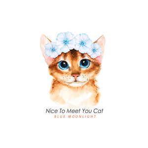 반가워 고양아 (Nice To Meet You Cat)