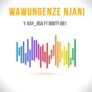 Wawungenzenjani (feat. Boiity681) (Explicit)
