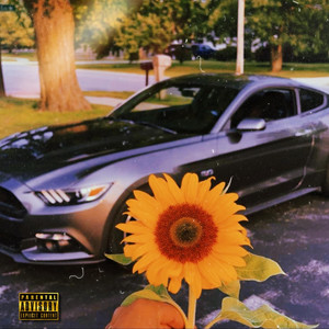 The Sunflower (Explicit)