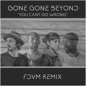 You Can't Go Wrong (FDVM Remix)