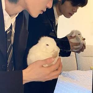 放过爱情