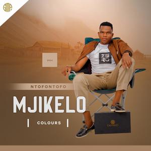 ULIBIZE (feat. SIYA NTULI) (Remix)