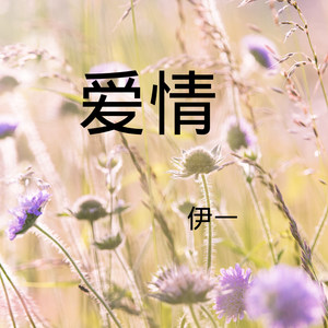 爱，籽，花