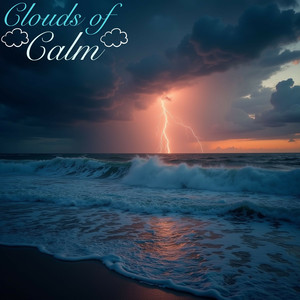 Purity Clarity Energy Rest