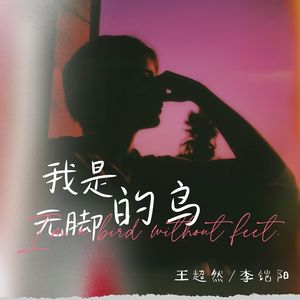 我是无脚的鸟 (对唱版)