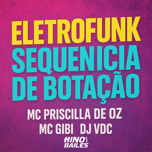 Eletrofunk Sequencia de Botacão (Explicit)