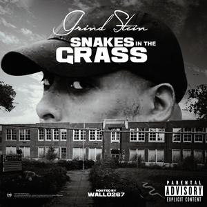 Snakes in the Grass(feat. Wallo267)