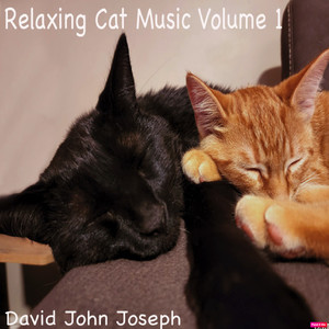 Relaxing Cat Music, Vol. 1