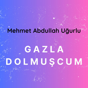 Gazla Dolmuşcum