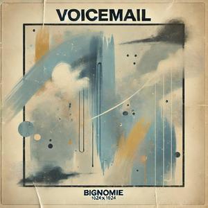 Voicemail (feat. pandapowerz) [Explicit]