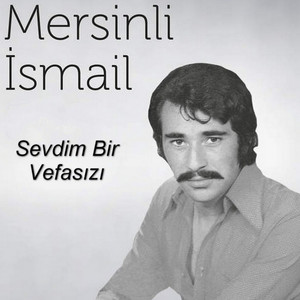 Sevdim Bir Vefasızı