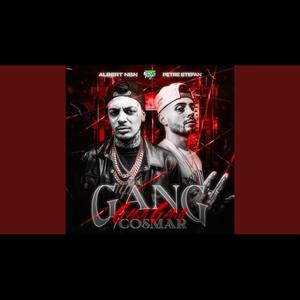 GANG GANG GANG/COSMAR (feat. Albert nbn & Petre stefan) (Explicit)