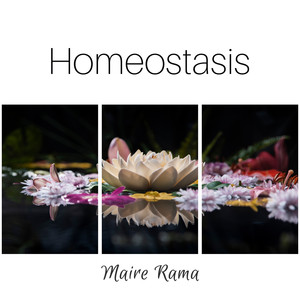 Homeostasis