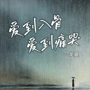 爱到入骨爱到痛哭 (dj豪大大版) - 龙翼封面