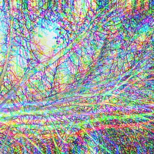 Know The Name (Explicit)