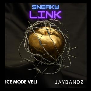 Sneaky Link (Explicit)