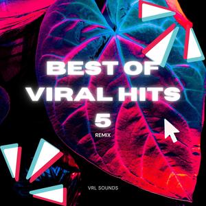 Best Of Viral Hits 5-VRL SOUNDS