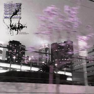 we don't really exist