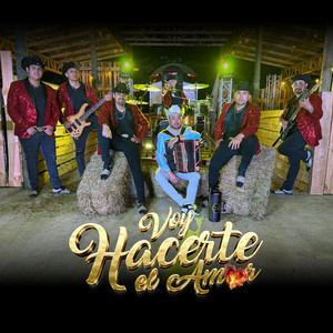 VOY HACERTE EL AMOR