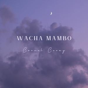 Wacha mambo (Explicit)