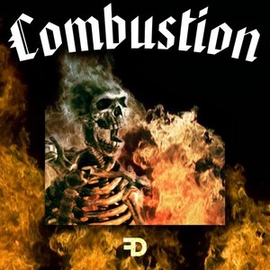 Combustion (Explicit)