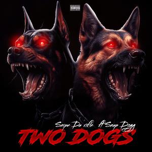 2Dogs (feat. Snap Dogg) (Explicit)