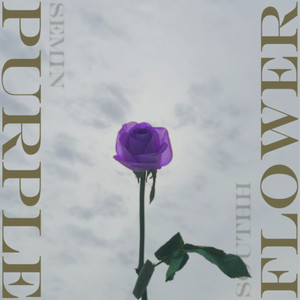 자주색 꽃 (Purple Flower)