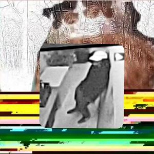 What Yall Expected (Bonus) (Explicit)