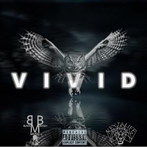 ViViD (Explicit)