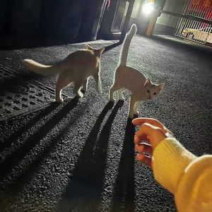 生活不是选择是热爱(上头旋律)